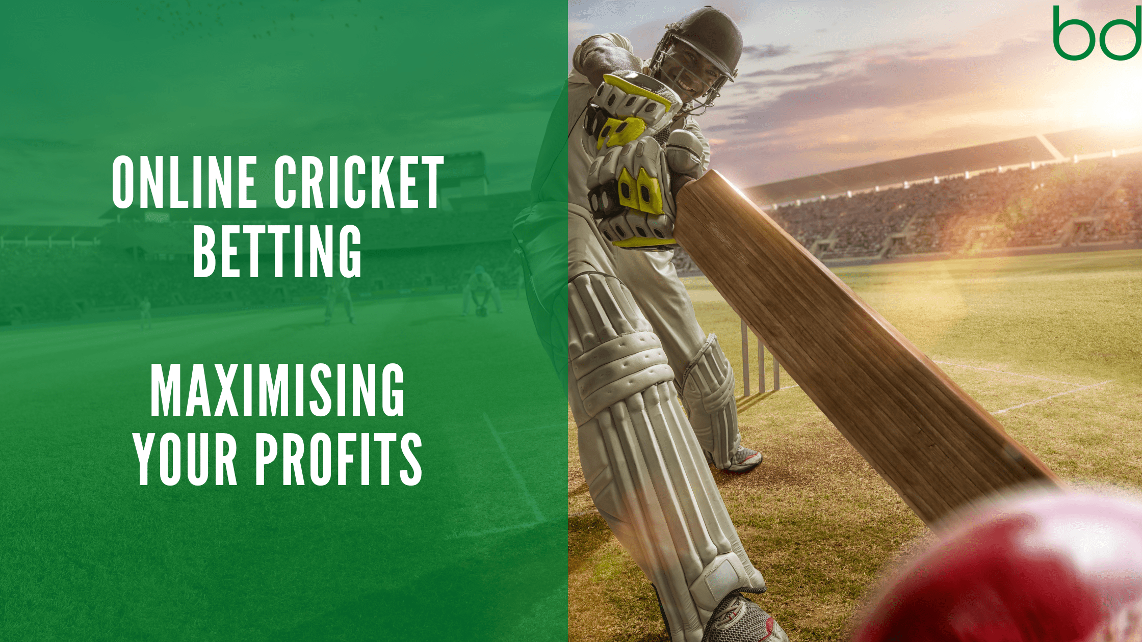 Online Cricket Betting - MAXIMISE YOUR PROFITS